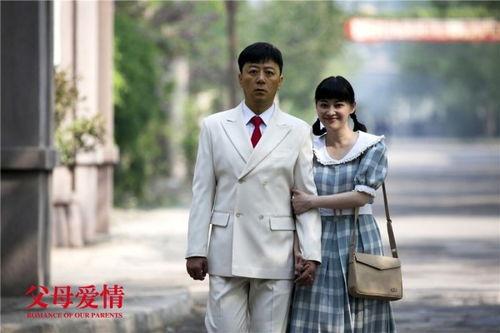电视剧父母爱情在线观看,重温家庭温情，共度美好时光  第3张